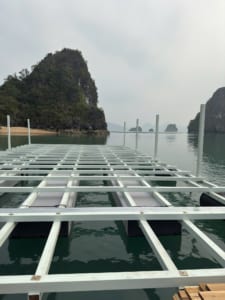 Hàng rào composite FRP